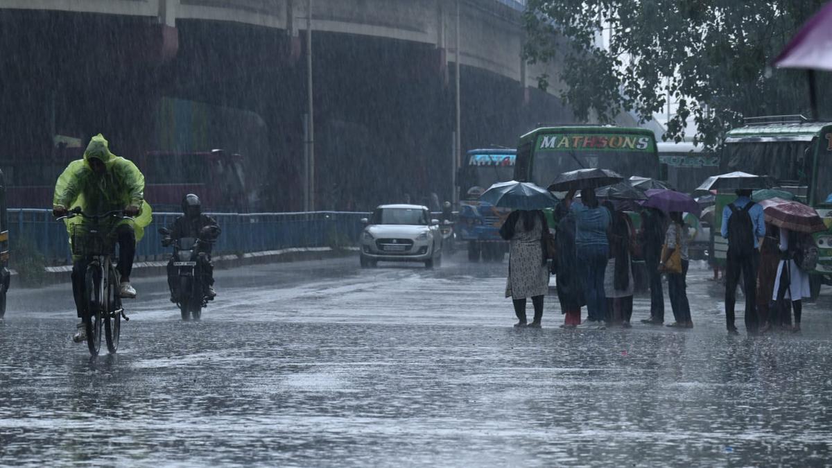 Kerala rains: Five districts on red alert for extremely heavy rainfall