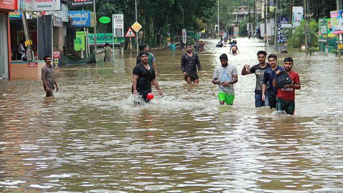 Rain claims three lives in Kottayam - The Hindu