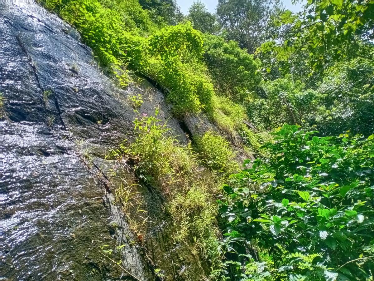 Protest mounts against move to set up granite quarry at ecologically sensitive region in Wayanad