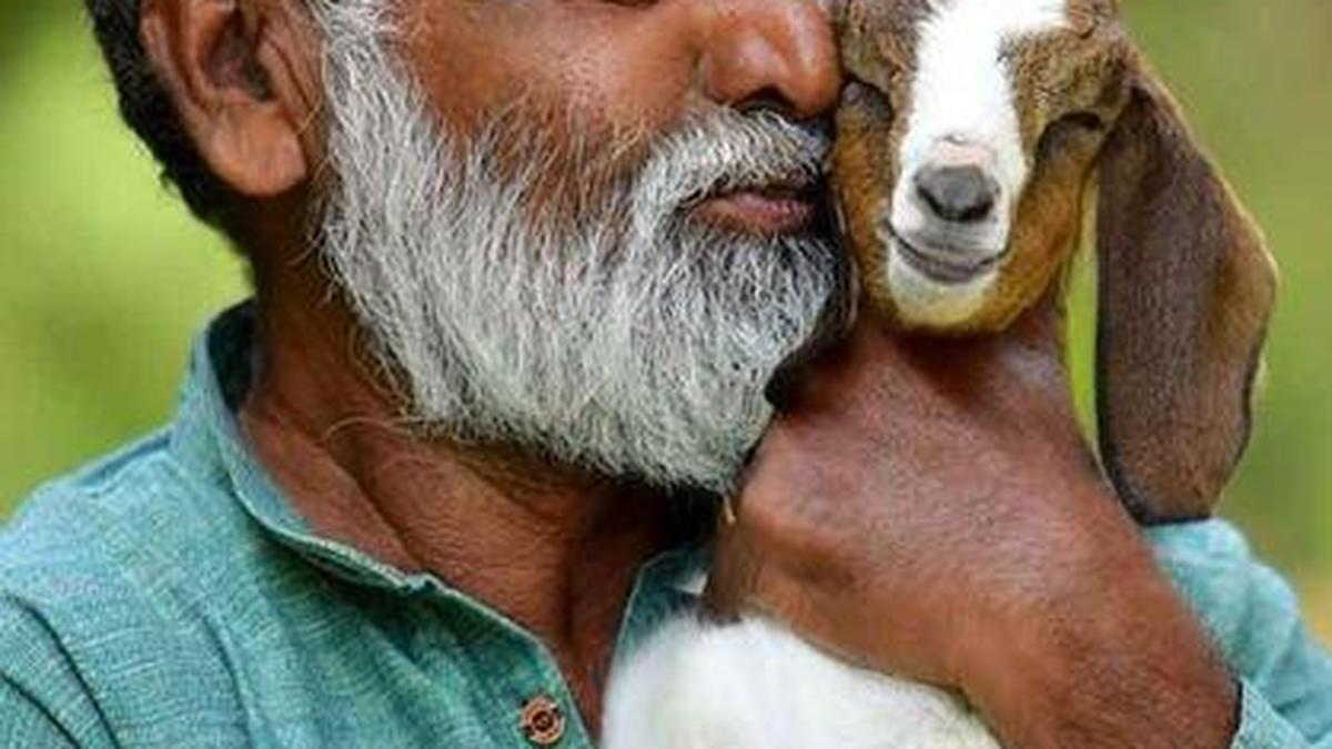 Young farmers should not ignore role of marketing in farm success, says Scaria Pillai C.J., winner of the 2024 Sibi Kallingal Karshakothama Award