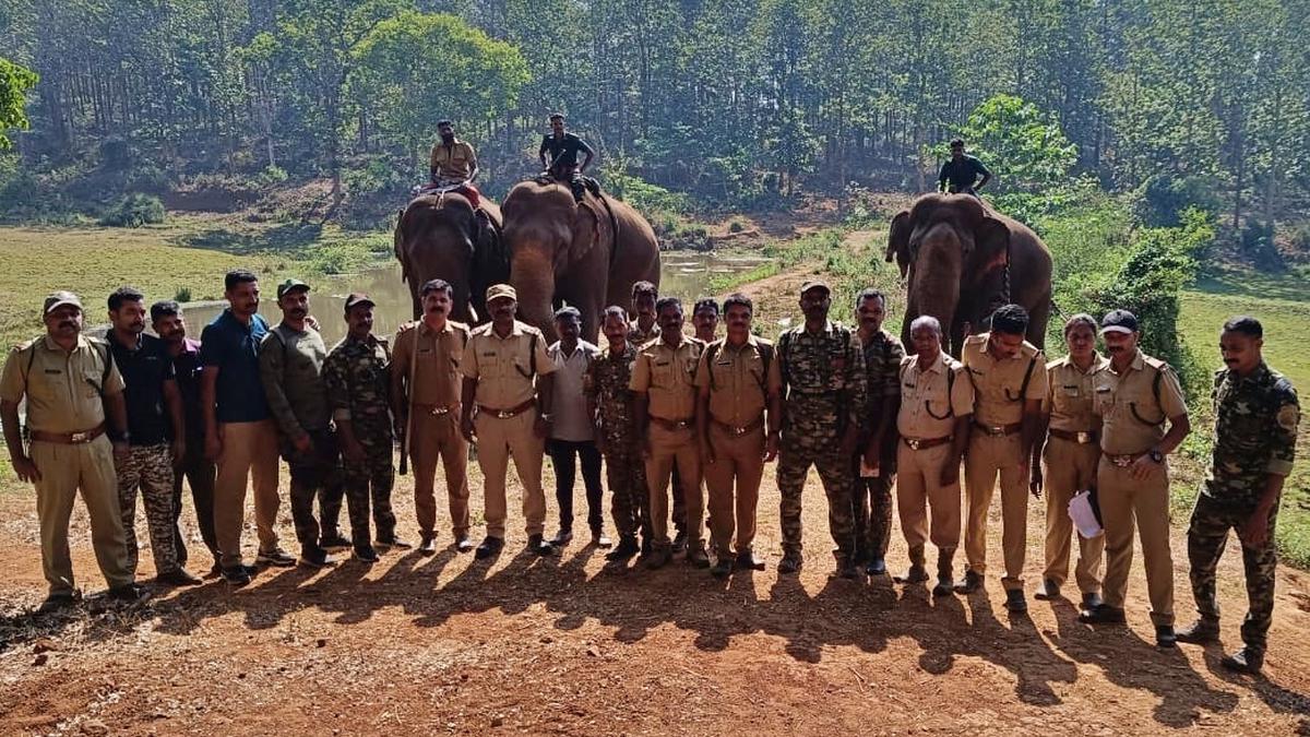 Straying tusker in human habitats in Wayanad driven away to forest