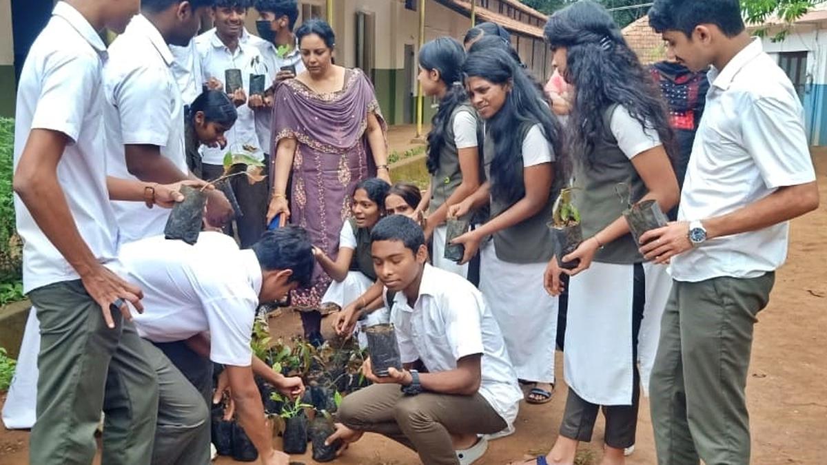 Nursery at school to plant saplings along highway in Wayanad