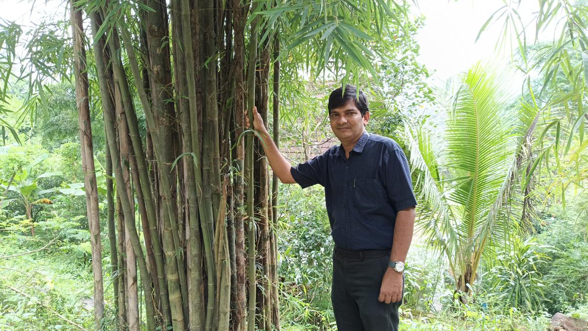 https://th-i.thgim.com/public/news/national/kerala/u7e595/article70062457.ece/alternates/LANDSCAPE_1200/John.jpg