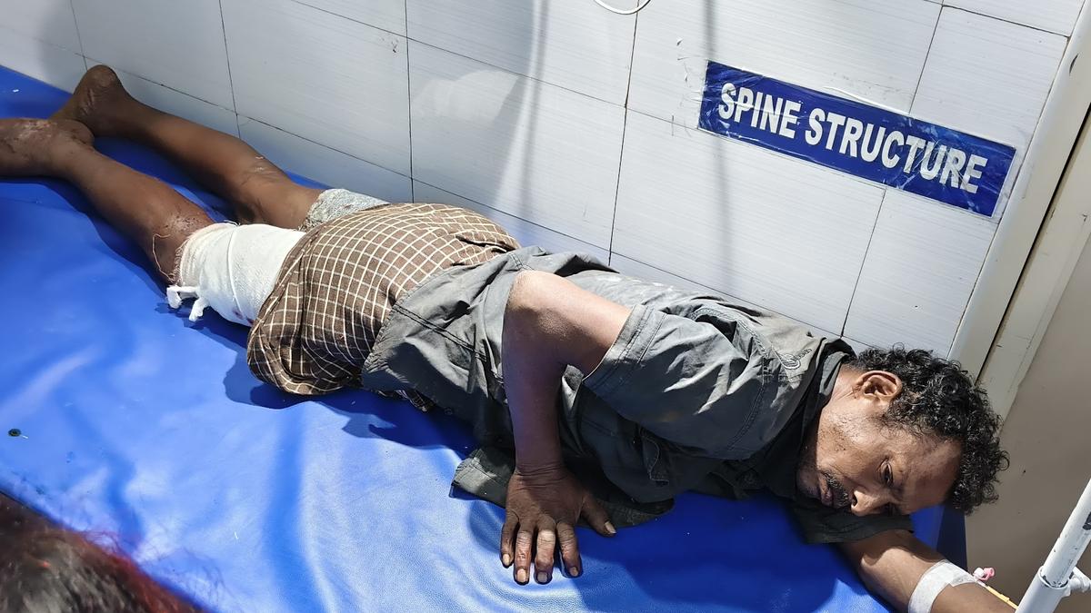 Tribesperson injured in bear attack at Nedumkayam