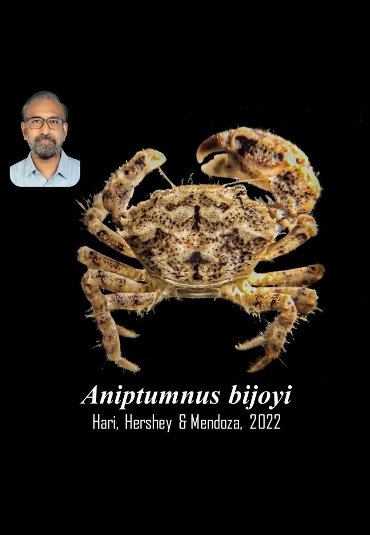 New species of crab named in honour of Cusat professor