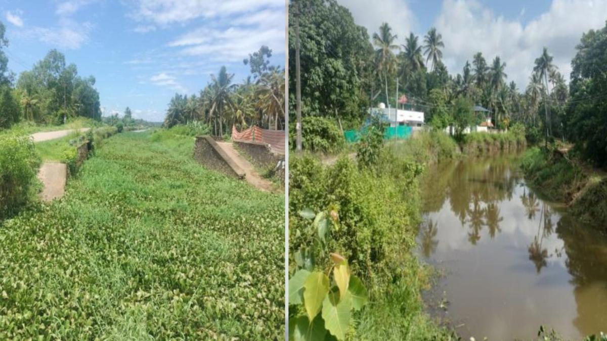 Operation Jaladhara rejuvenates canals in Thiruvananthapuram