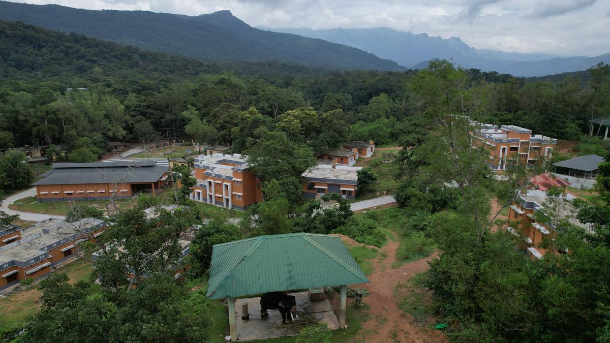 Kottoor Elephant Rehabilitation Centre to reopen with state-of-the-art upgrades to enhance elephants’ welfare and visitor experience