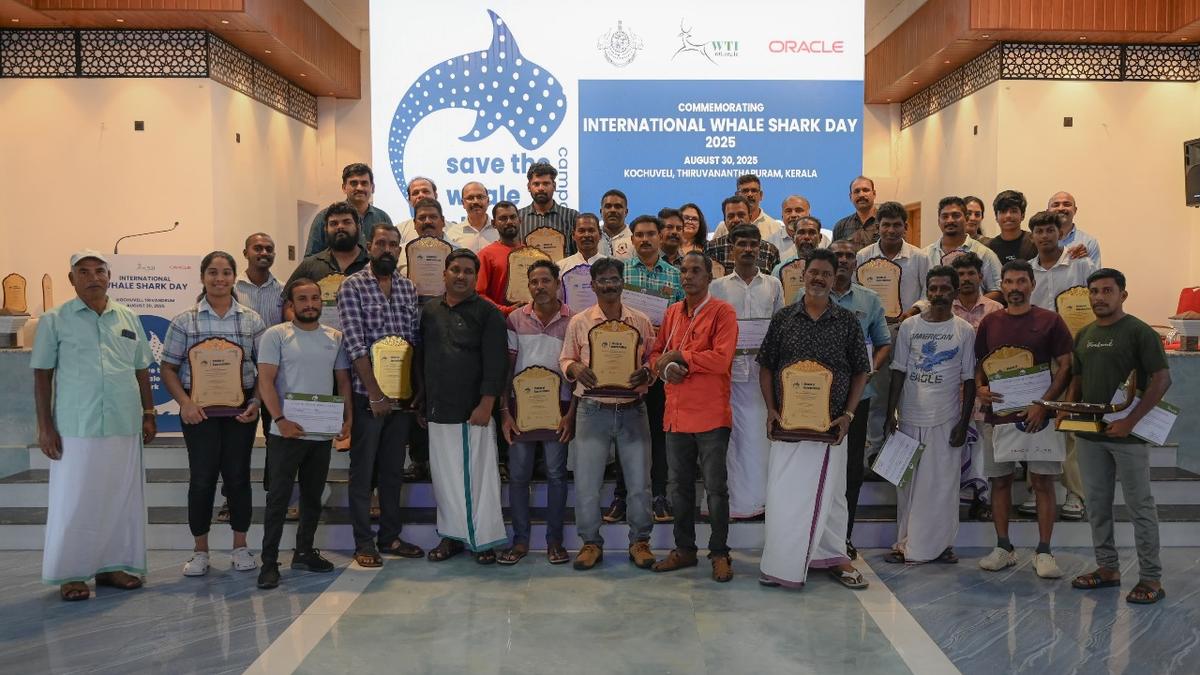Fishers felicitated for rescuing whale sharks