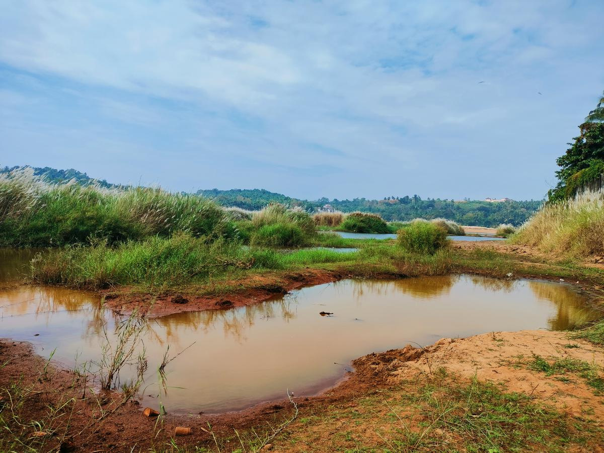 thehindu.com - The Hindu Bureau - Environmentalists raise alarm over 'illegal' sand mining in Bharathapuzha basin