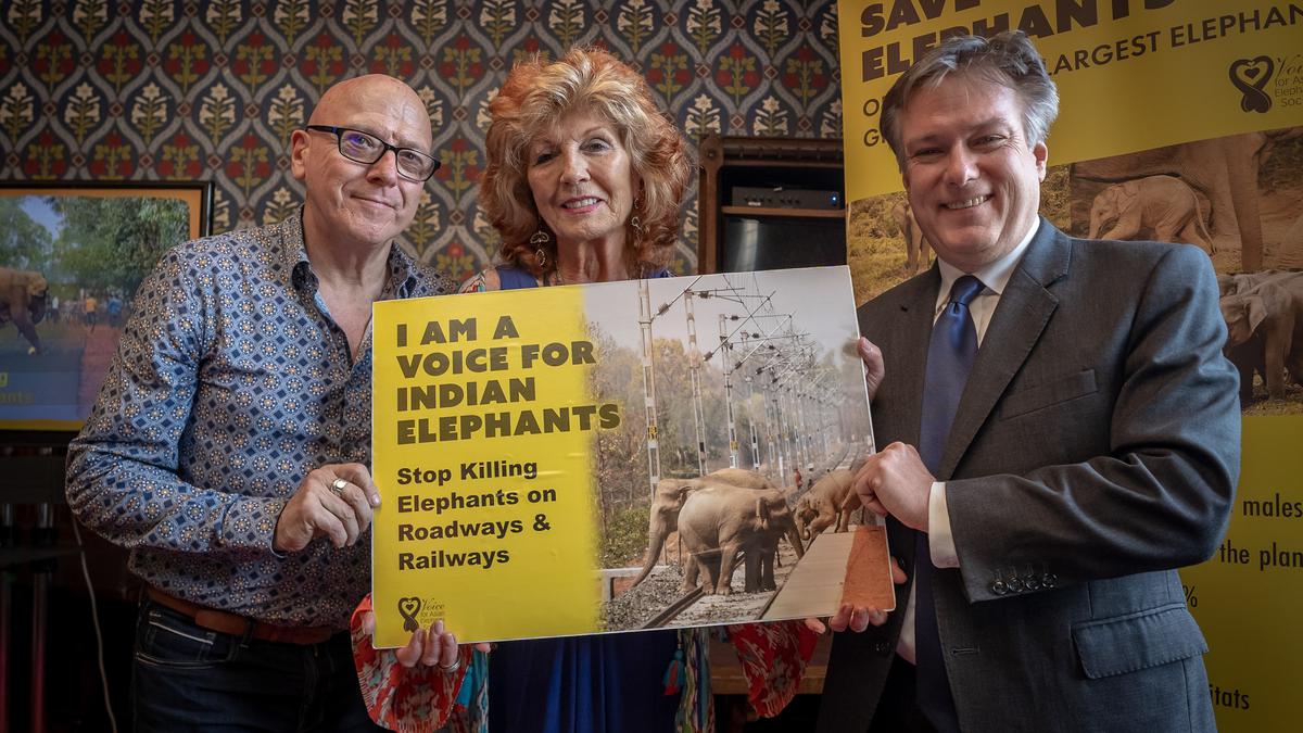 British lawmakers rally for the cause of elephants in India