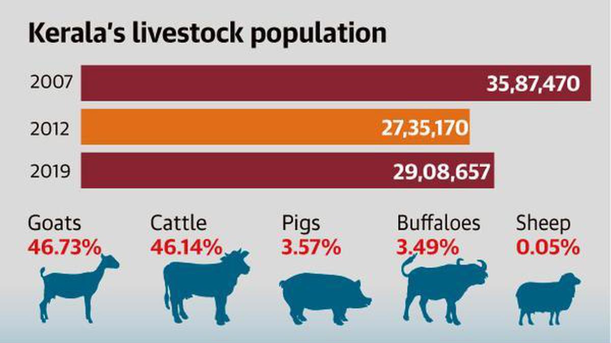 6.34 rise in State’s livestock count The Hindu