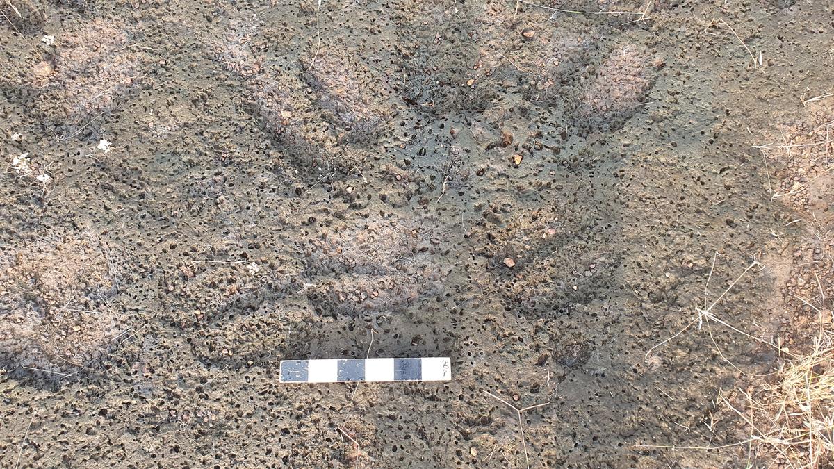 Prehistoric rock-cut footprints and human figure unearthed at ...