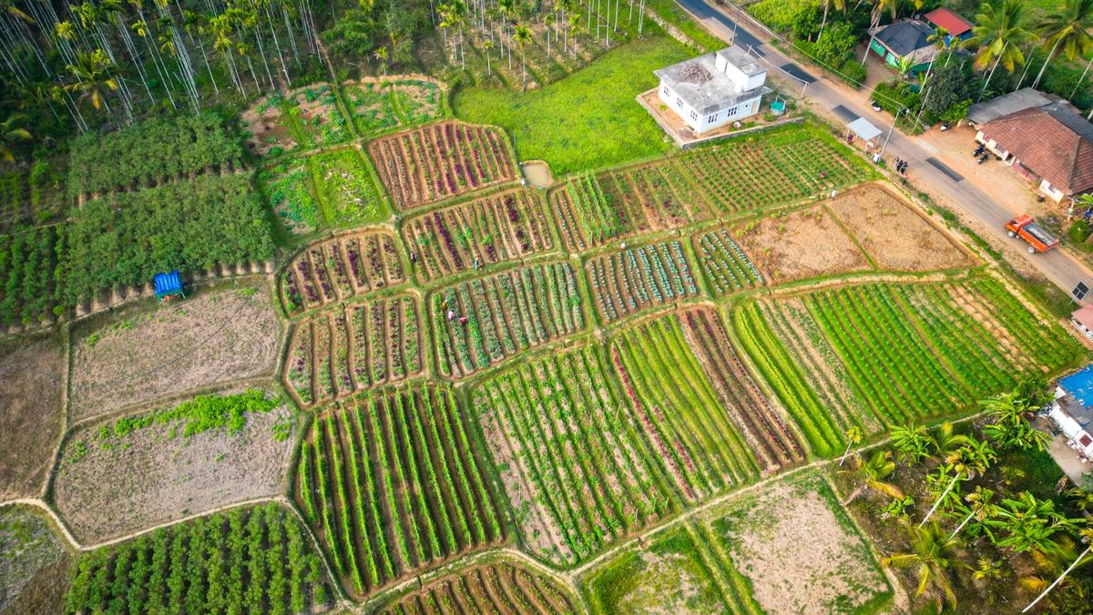 Meenangadi panchayat in Wayanad sets a model for water conservation