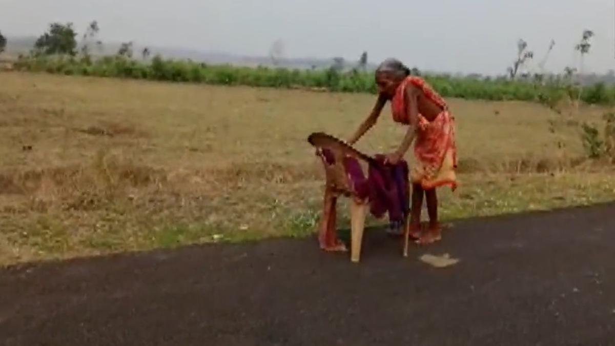 Old woman walked barefoot to collect pension from SBI; Sitharaman pulls up bank