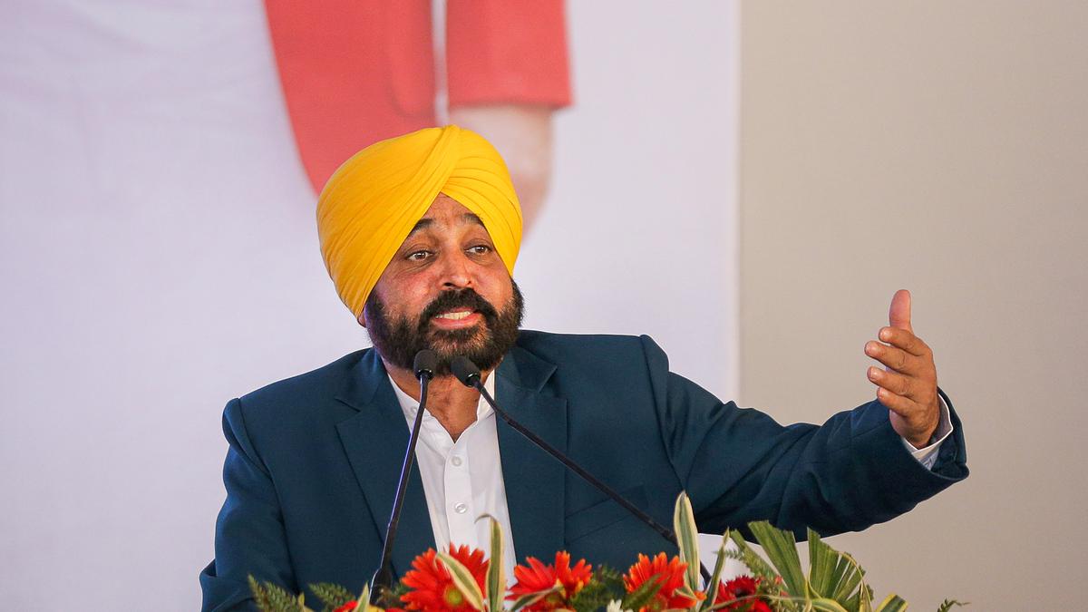 Bhagwant Mann says Pakistan, other nations funding Khalistan supporters