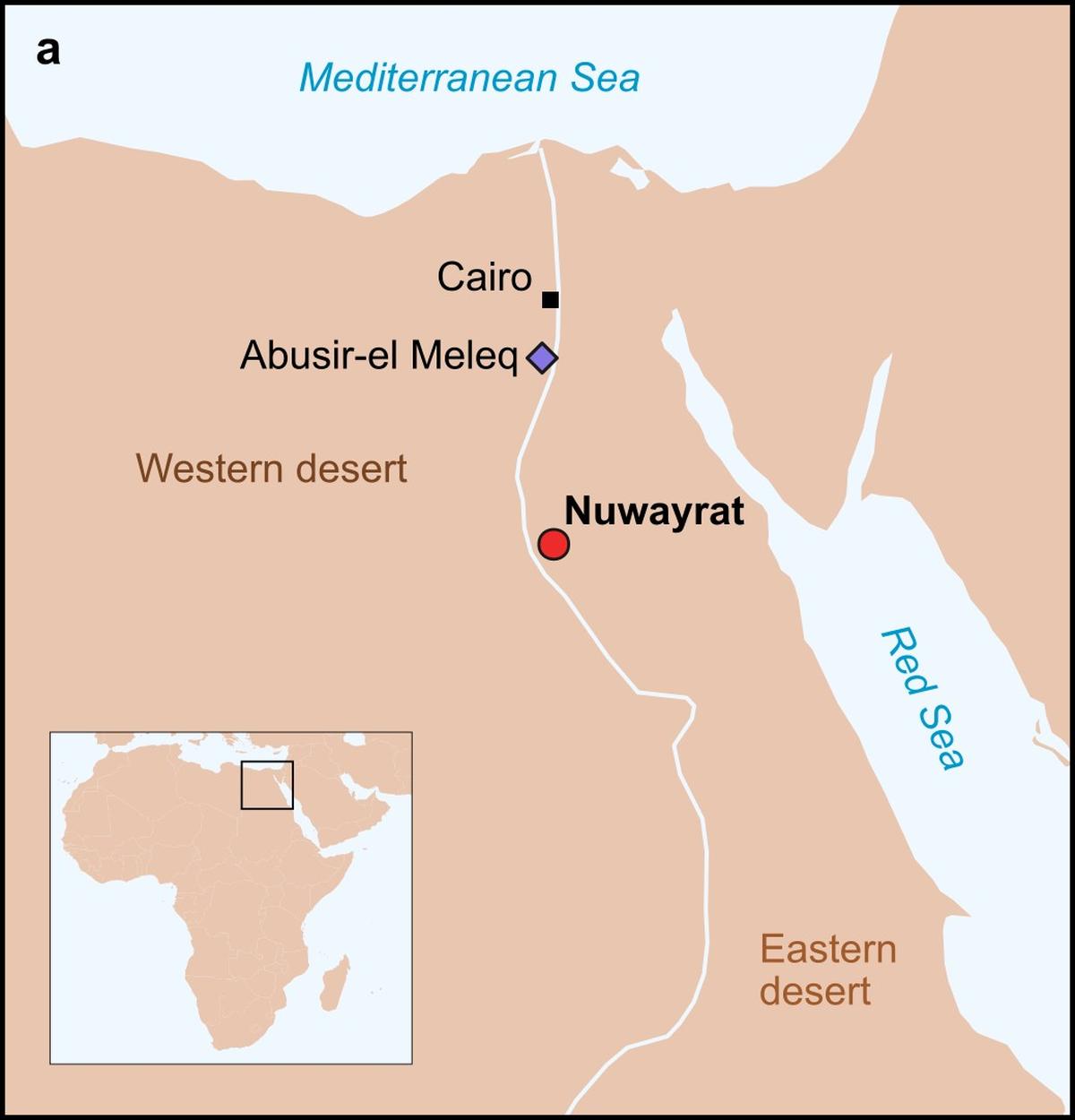 The geographic location of the Nuwayrat cemetery appears as a red dot, and the previously sequenced Third Intermediate period individuals from Abusir-el Meleq are indicated with a purple diamond