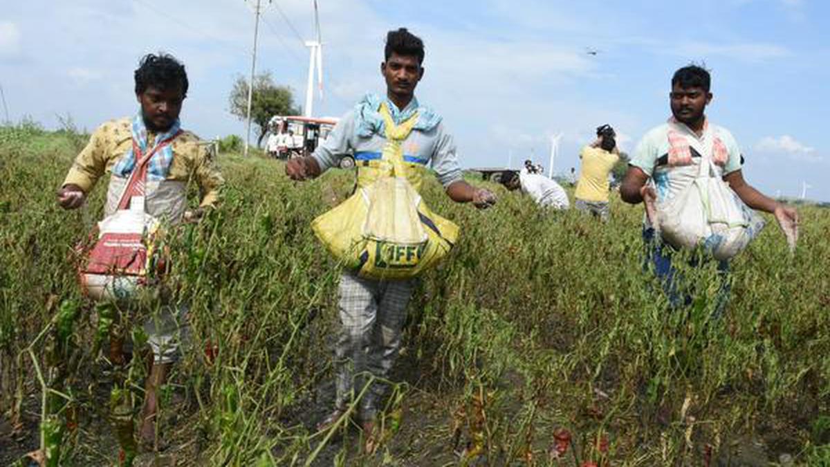 Farmers asked to name MSP panel members