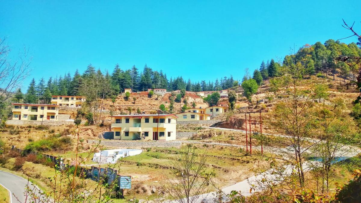 The farm at Nariyal village in Champawat district of Uttarakhand. 