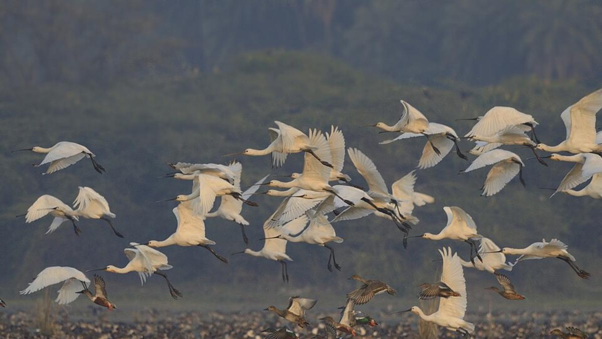 India gets Ramsar tag for two wetlands, PM Modi lauds efforts