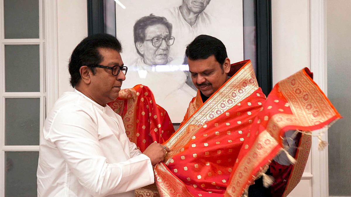 Fadnavis’ ‘friendly’ meet with Raj Thackeray sparks speculation