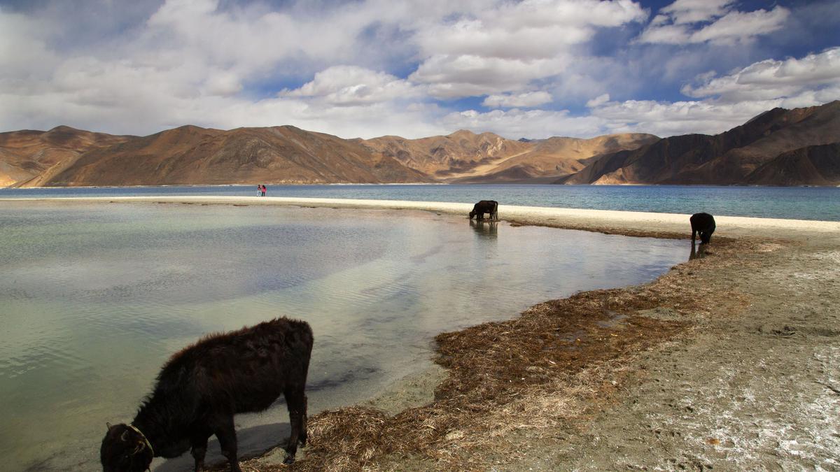 Ladakh villagers lose grazing grounds at Pangong Tso