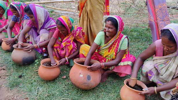 Women farmers reap fortunes with organic indigenous rice varieties in Bengal’s Jhargram