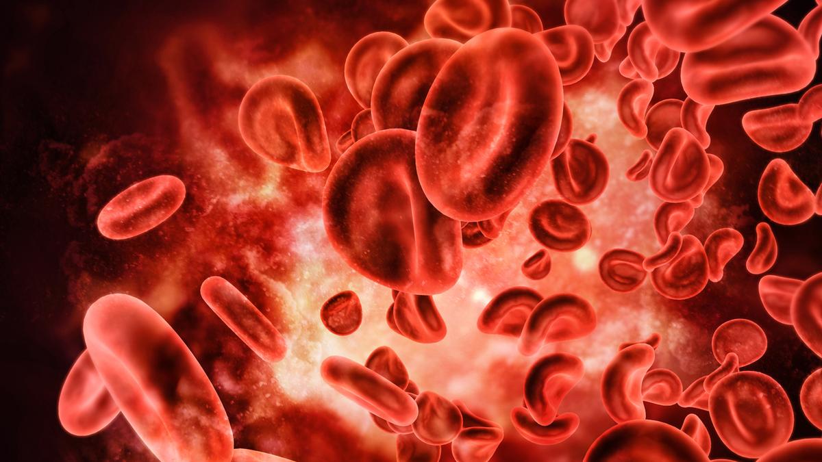 Blood and its components can be transported safely with drones by following guidelines: ICMR study