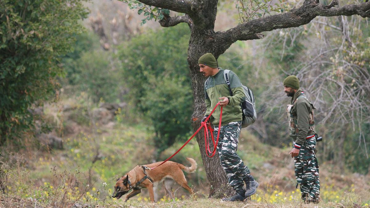 CRPF provides training to VDG in Rajouri in wake of recent attack on civilians