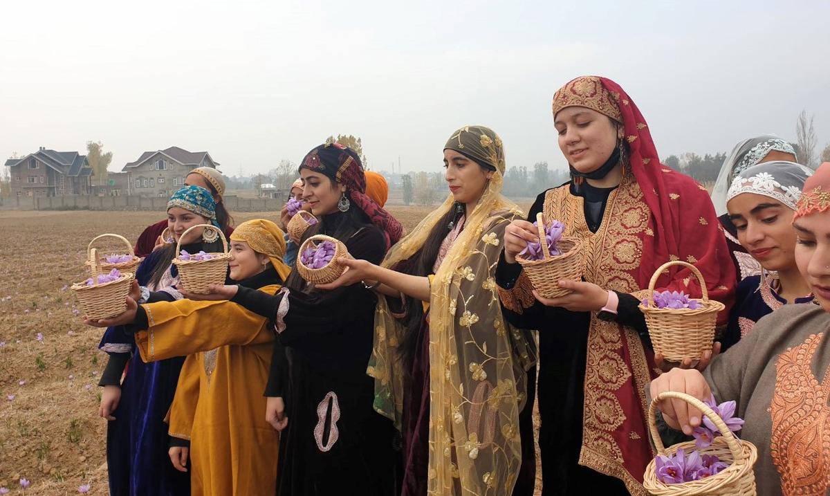 This year, saffron fields to spice up tourists’ reel life in Kashmir