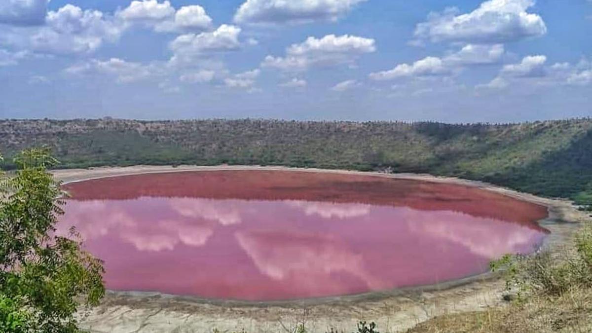 Lonar lake in Maharashtra’s Buldhana district turned pink due to ‘Haloarchaea’ microbes: probe