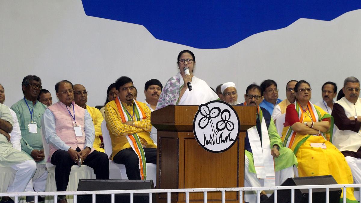 India would have won World Cup if final was played in Kolkata or Mumbai: Mamata