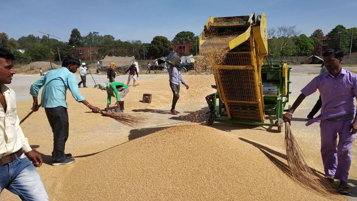 COVID-19 lockdown | Haryana to start staggered wheat procurement from April 20