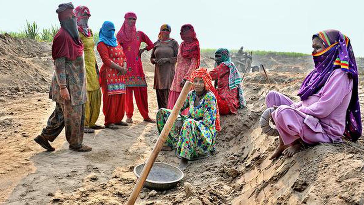 Gujarat government calls MGNREGA scheme ‘a lifesaver’ for labourers during COVID-19 pandemic