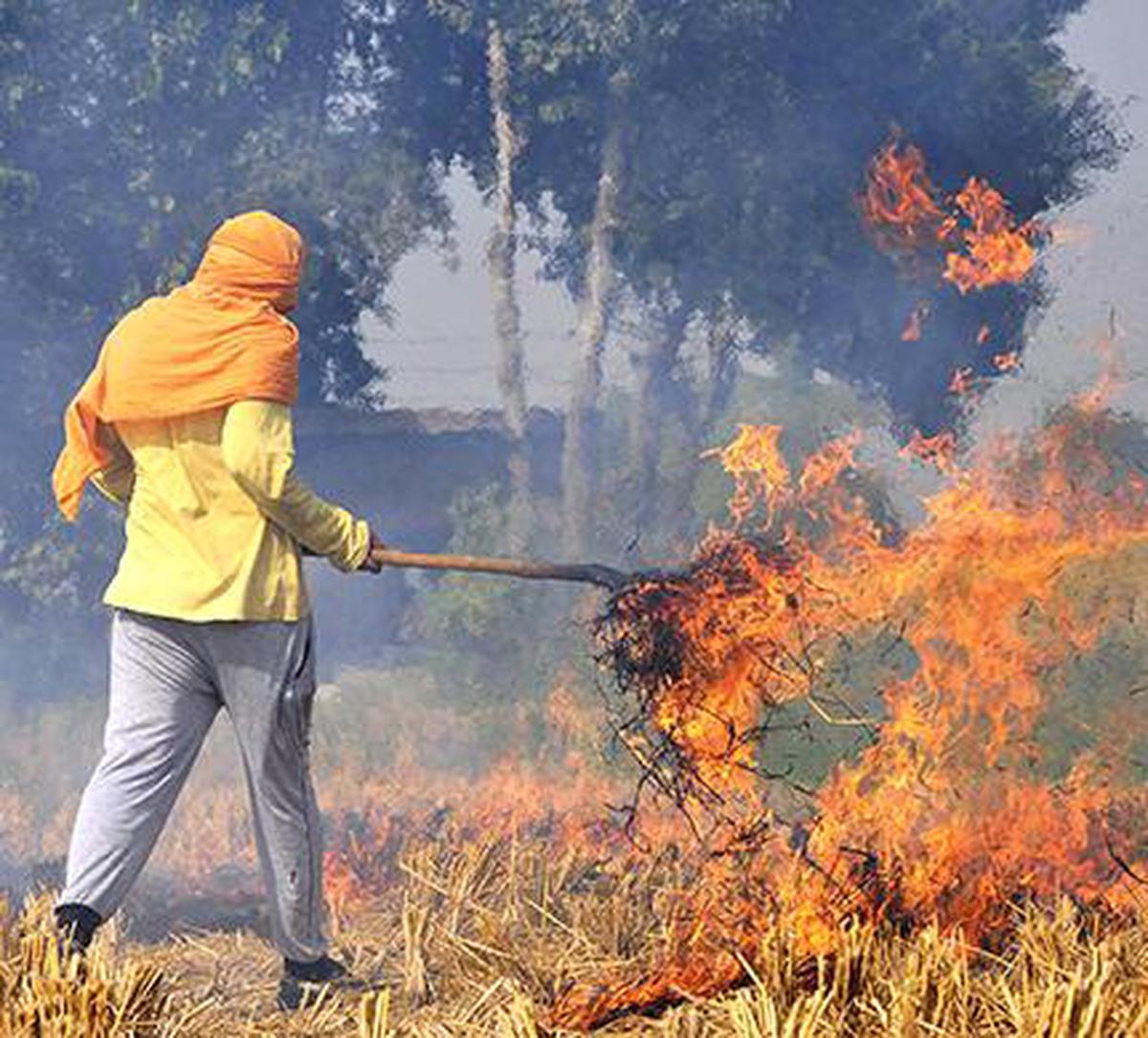 Burning lead. Парали картинкала. Kyiv is Now in second place in the World in terms of Air pollution due to the Burning of Peat bogs..