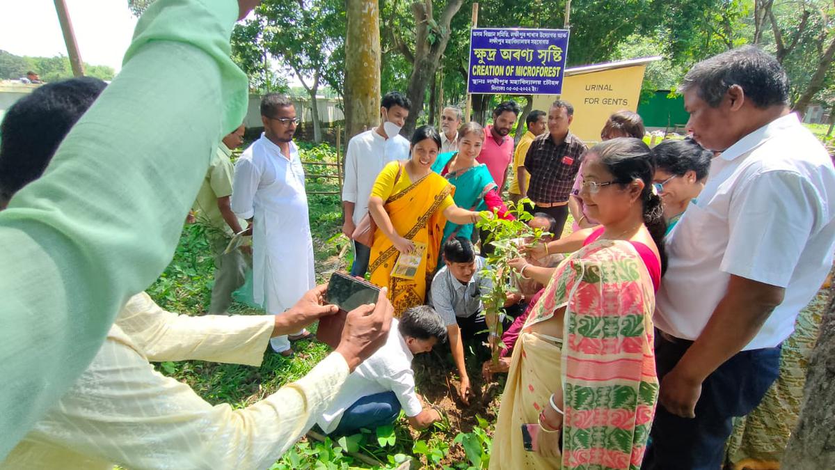 Assam Science Society creates first micro-forest in college - The Hindu