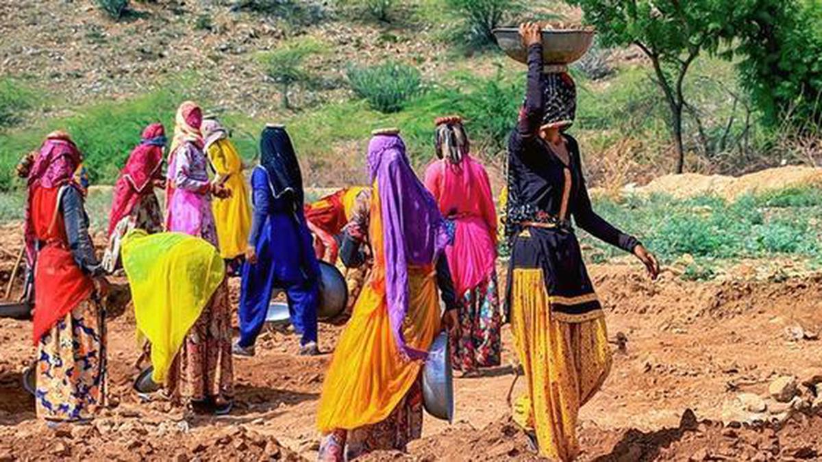 Finance Ministry advised caste-wise split in MGNREGA wage payments