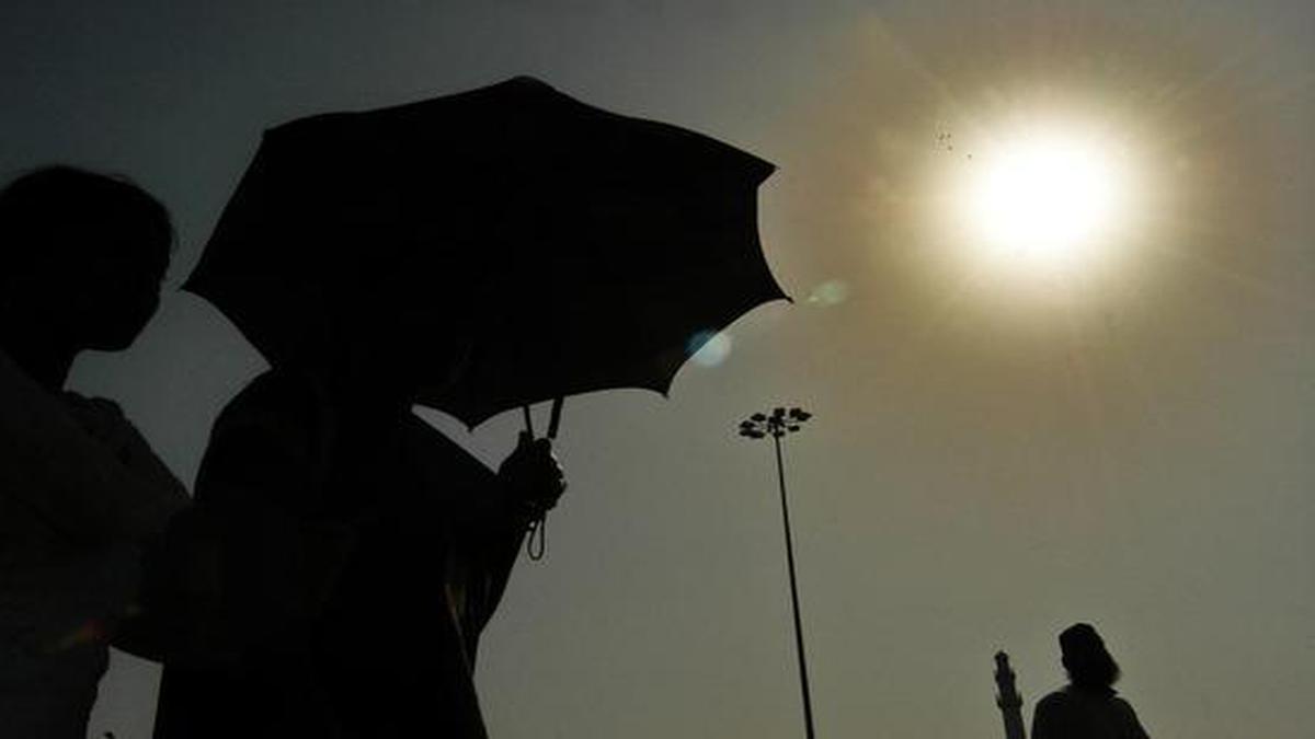 Heatwave conditions likely in parts of Rajasthan: State Met department