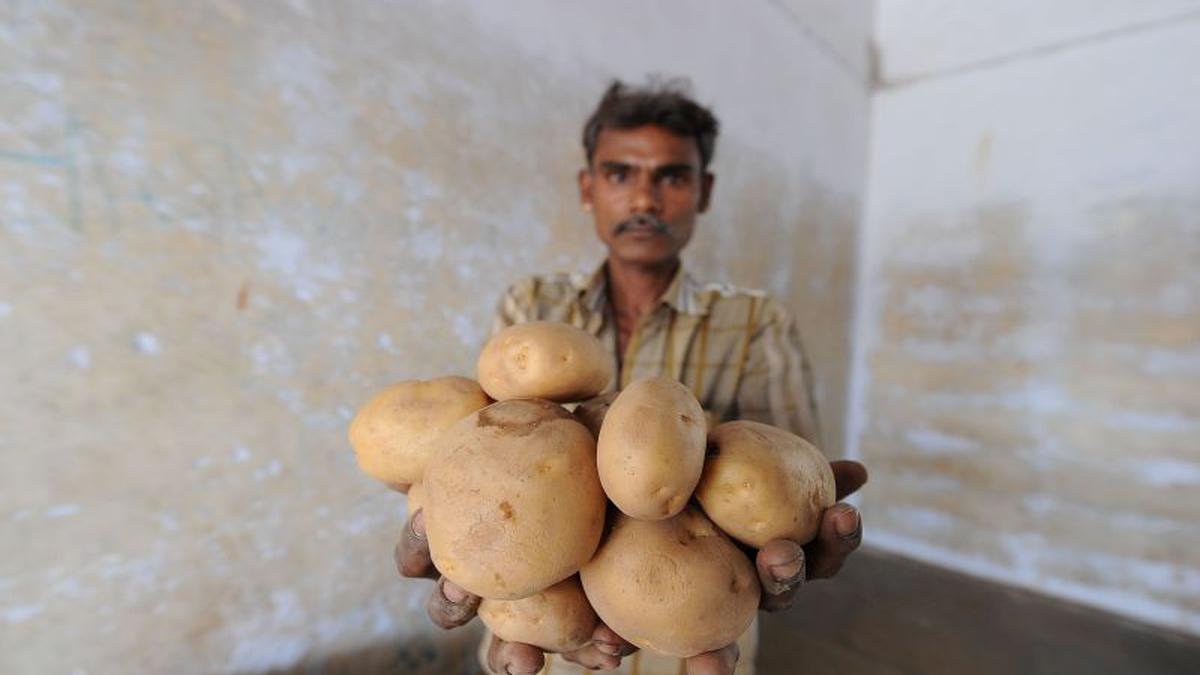 Gujarat govt. to back potato farmers in PepsiCo fight