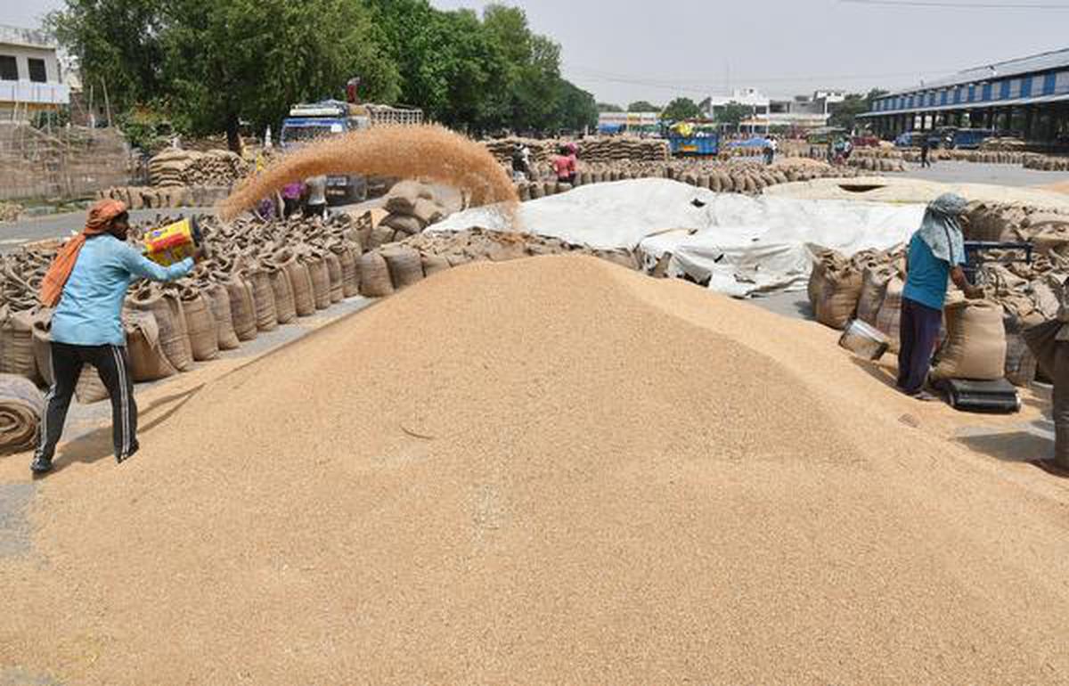 Centre hikes minimum support price for wheat, mustard