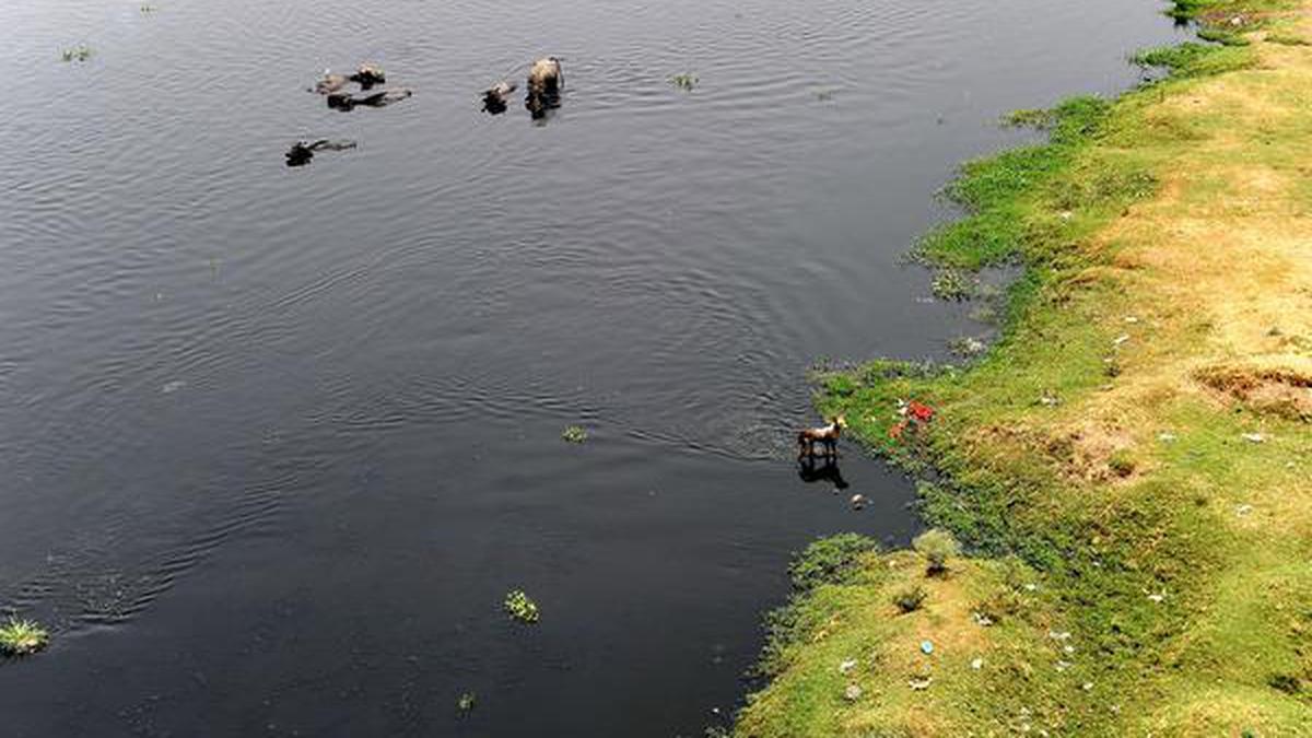 Ahmedabad to strengthen sewage treatment, stormwater drainage systems using ₹ 3,000 crore from World Bank