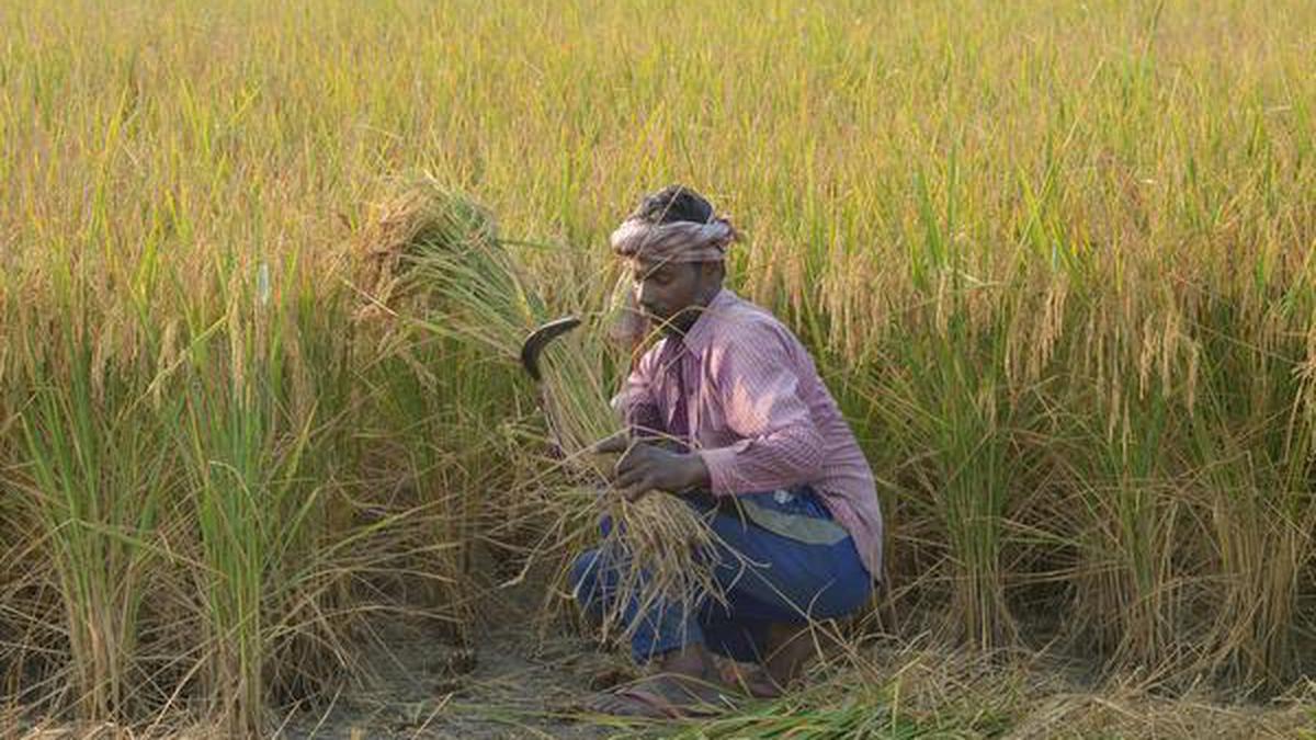 In Punjab, 3-day ‘rail roko’ against farm Bills begins