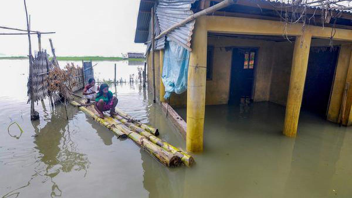 Assam: Mosquitoes kill 23 amid flood, COVID-19 crisis