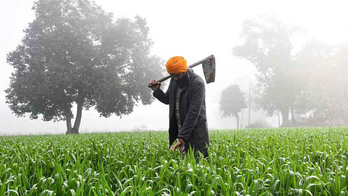 Punjab Assembly elections | Farmers are not swayed by parties born out of their agitation