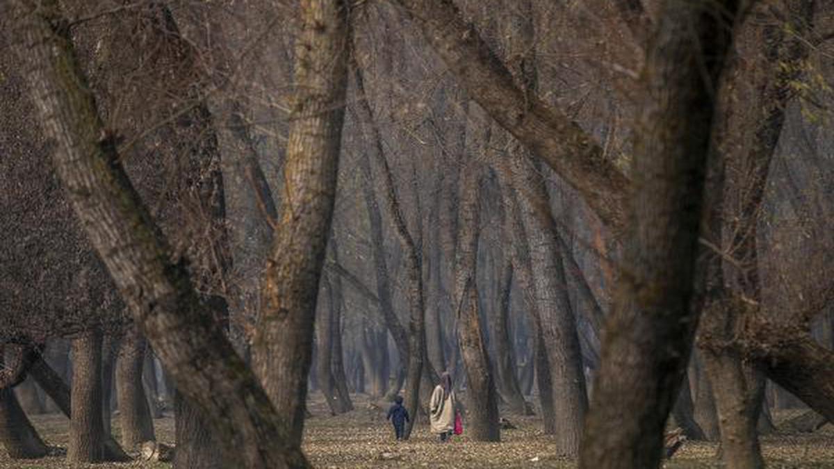 “Protected candidates” cry foul as Kashmir sees subdued campaign in phase-1 district polls