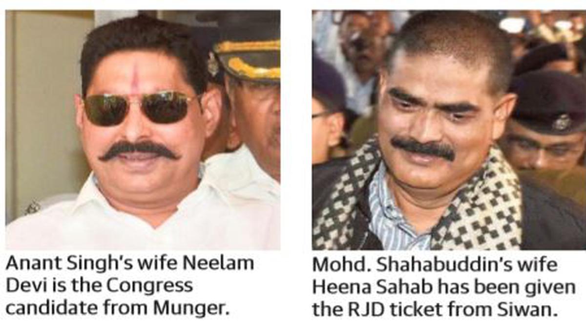 Bahubalis in jail, better halves join poll fray