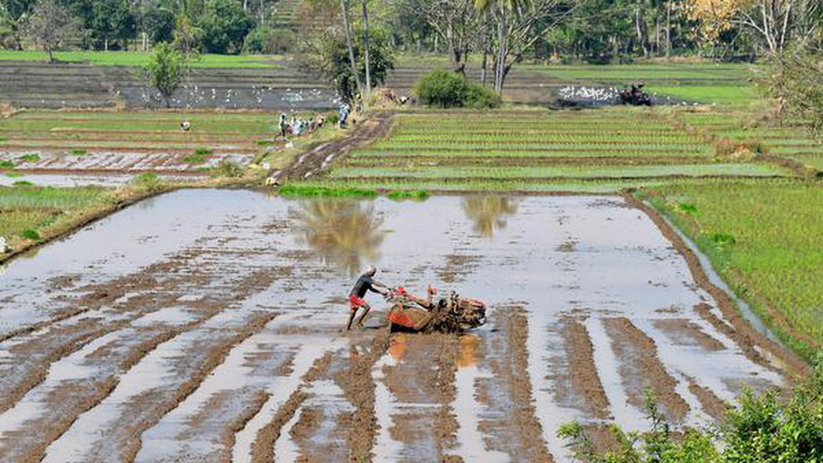 Suicides among farm workers rose 18% in 2020