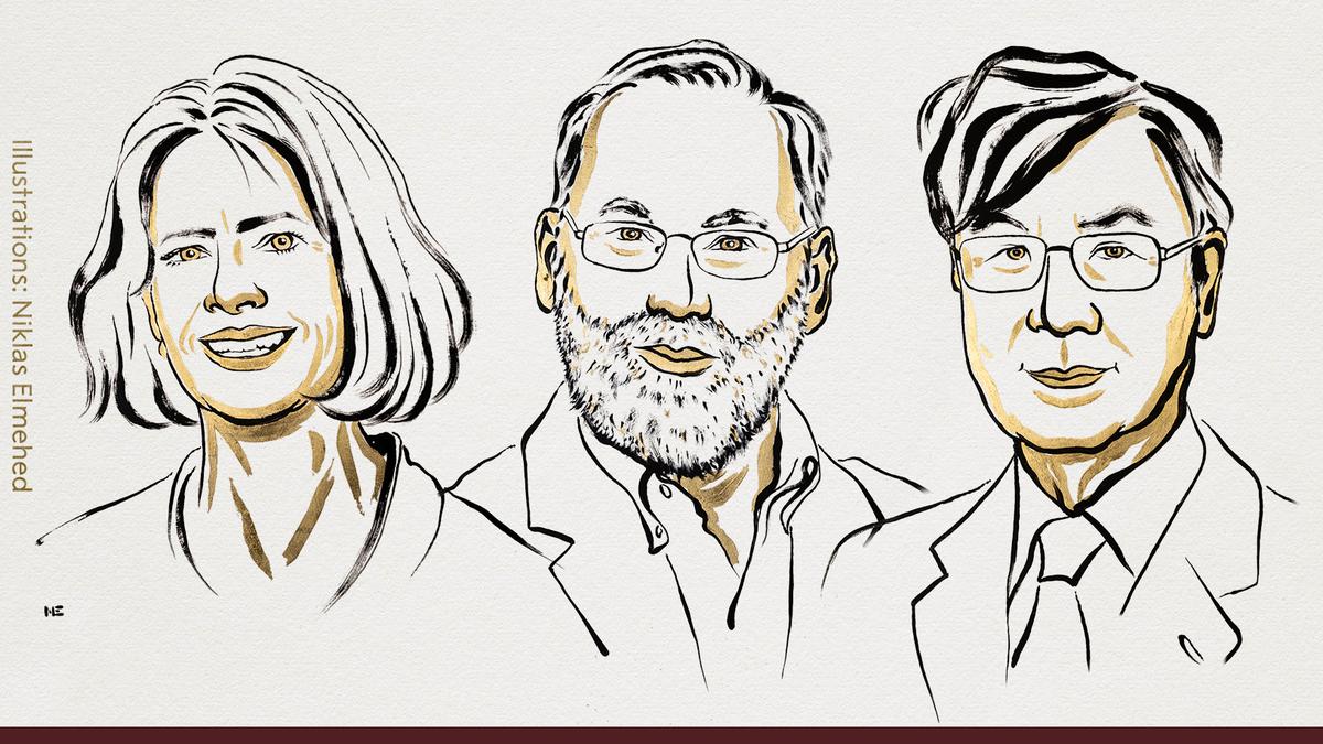 Medicine Nobel 2025 awarded