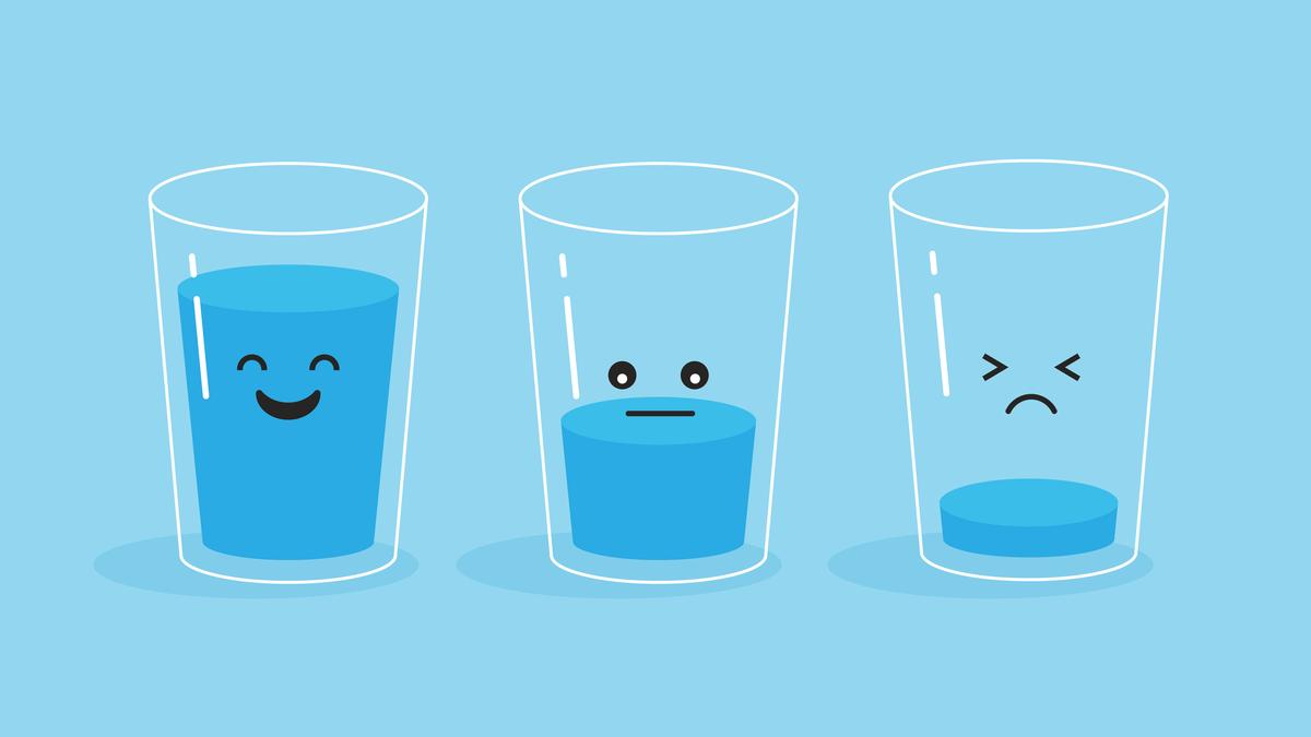 The glass half full The Hindu