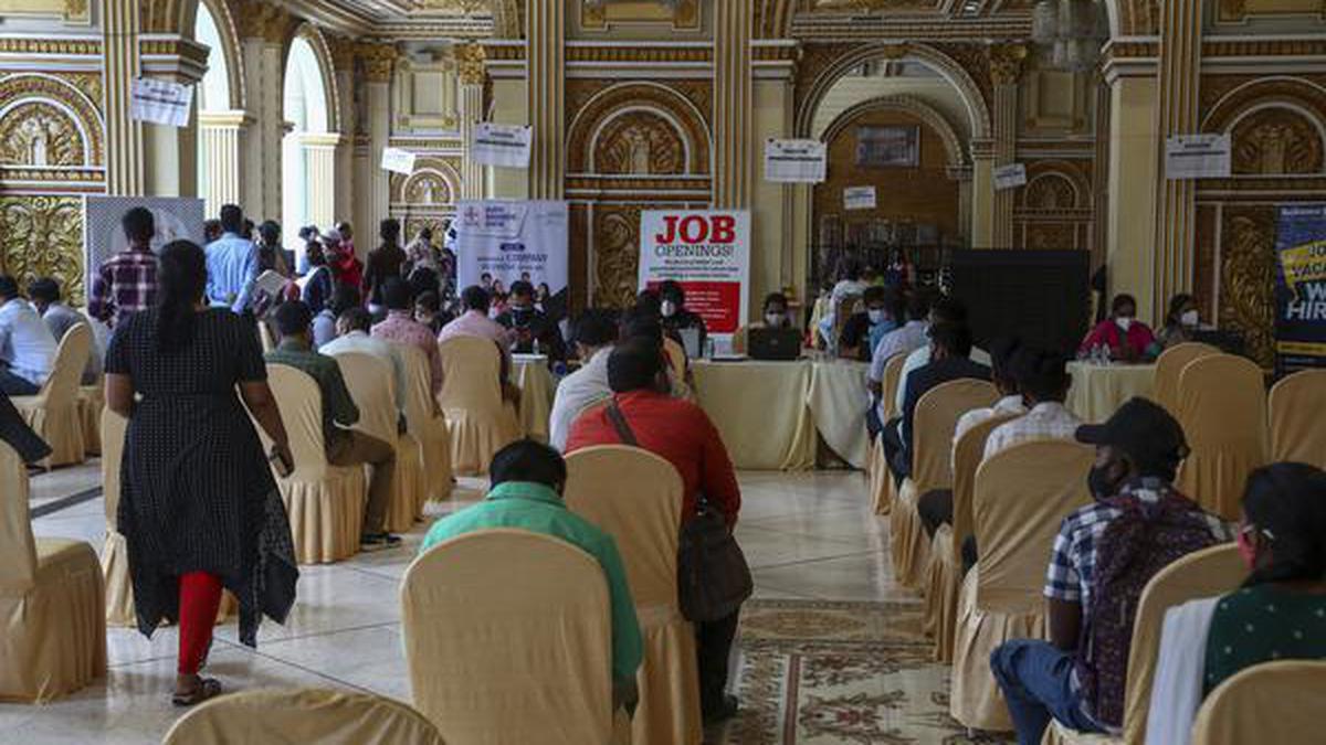 Jobs increased by 29% since 2013, says survey