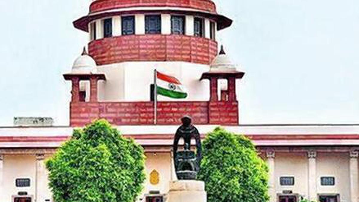 COVID-19 | Homoeopaths can prescribe government-approved add-ons, mixtures to supplement conventional treatment, says Supreme Court